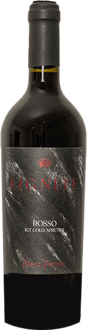 2024 Rosso Colli Aprutini IGP