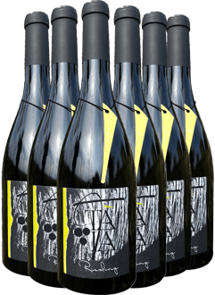Cantina Taia Box Promozionale Riesling Oltrepò Pavese DOC 