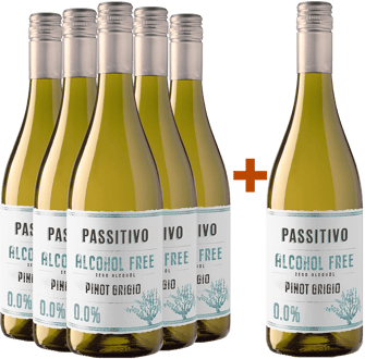 5+1 Passitivo Pinot Grigio 5+1 Passitivo Pinot Grigio