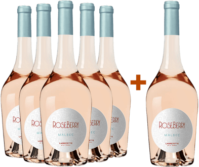 5+1 Paket 2022 Roseberry
