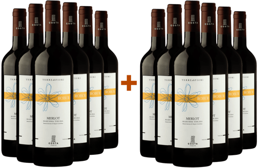 6+6 Robur Merlot Toscana IGP