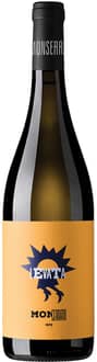 2023 Levata Campania Falanghina IGP