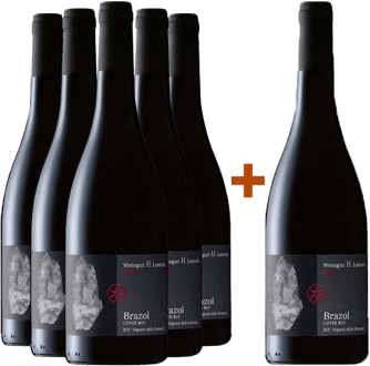 5+1 Brazol Vigneti delle Dolomiti IGP