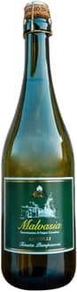 2023 Malvasia Secco Colli Piacentini DOC