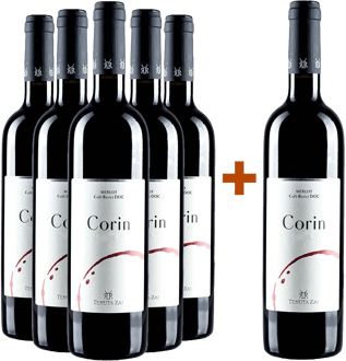 5+1 Corin Merlot Colli Berici DOC