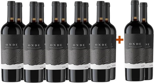 10+2 Negroamaro del Salento IGP