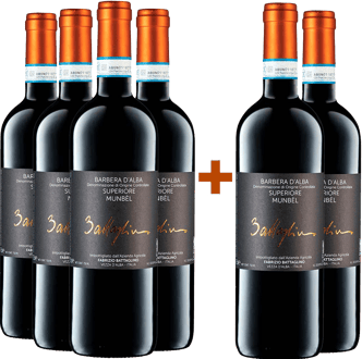 4+2 Munbèl Barbera d'Alba Superiore DOC 