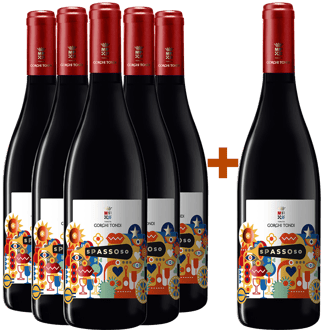 5+1 Spassoso Appassimento Terre Siciliane IGP