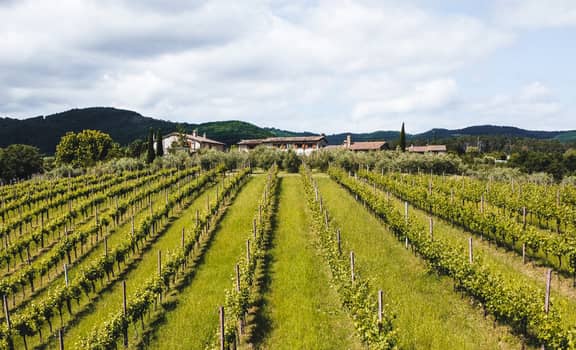 Tenuta Affaitati