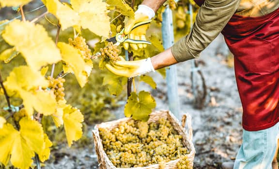 L'equilibrio del Friuli