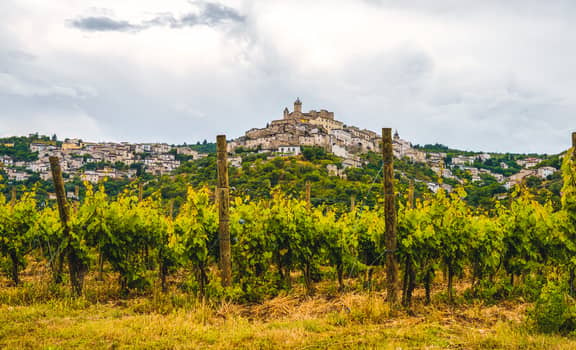 Urciuolo Vini