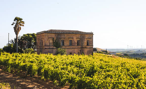 Un vino tipicamente Siciliano