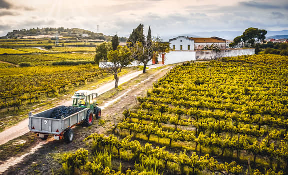 Podere Casa Piana