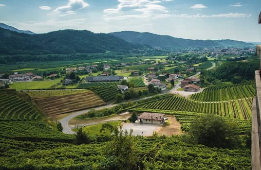 Dario coos winery