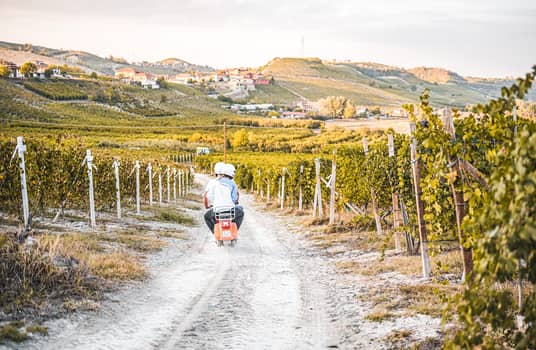 cascina del pozzo winery