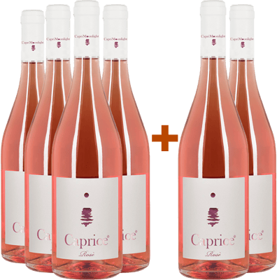4+2 Marguerite Rosè Campania IGP  4+2 Marguerite Rosè Campania IGP