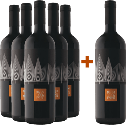 5+1 Sauvignon Friuli Colli Orientali DOC-Paket