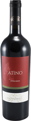 2018 Atino Cabernet di Atina DOC