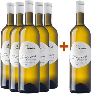 5+1 Bergwerk Terlaner Classico Alto Adige DOC BIO