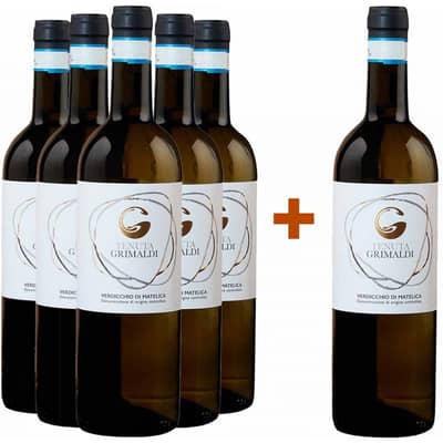 5+1 Verdicchio di Matelica DOC