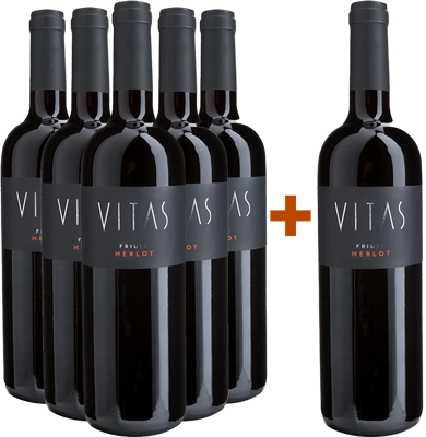 5+1 Merlot Friuli DOC