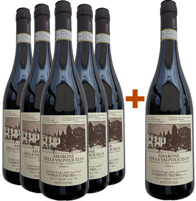 5+1 Amarone della Valpolicella Classico DOCG