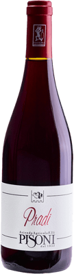 2023 Pradi Teroldego Vigneti delle Dolomiti IGP BIO