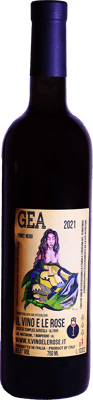 2021 Gea