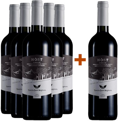 5+1 Nòst Romagna Sangiovese Superiore DOC BIO