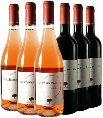 Box Promozionale Cantina Dei Fragni BIO