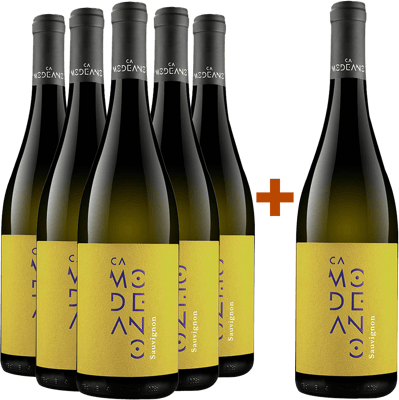 5+1 Sauvignon Friuli DOC