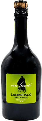 2019 Lambrusco Rosso sur Lieviti dell Emilia IGP