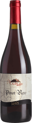 2021 Pinot Nero Vigneti delle Dolomiti IGP