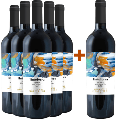5+1 Falanghina Campania IGP