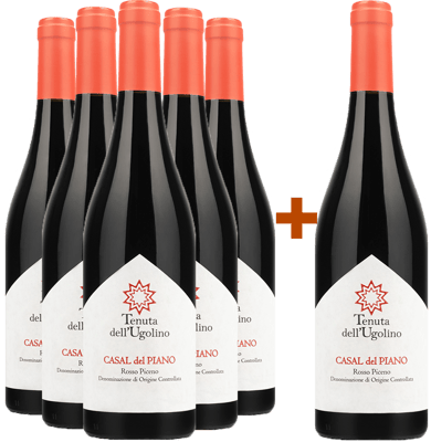 5+1 Casal del Piano Rosso Piceno DOC