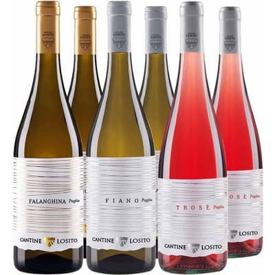 Cantine Losito Box Estate in Puglia BIO