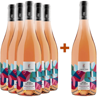 5+1 Rosa dei Venti Nerello Mascalese Terre Siciliane IGP BIO