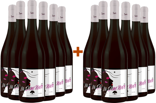 6+6 La Dame Noir BIO