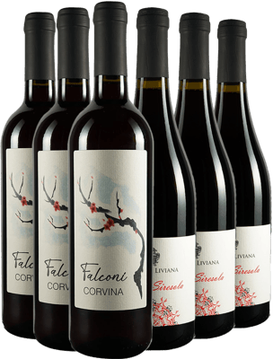 Falconi Liviana Box Degustazione Rossi