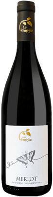 2021 Merlot Veneto IGP
