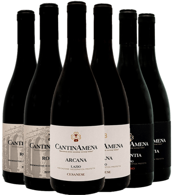CantinaAmena Box Degustazione BIO