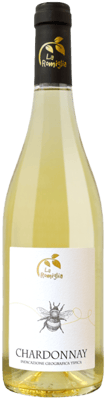 2021 Chardonnay Veneto IGP