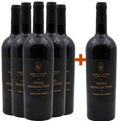 5+1 Vinea Benedictina Tintilia del Molise DOC
