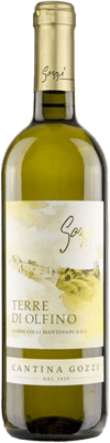 2023 Bianco Terre Di Olfino Garda Colli Mantovani DOC