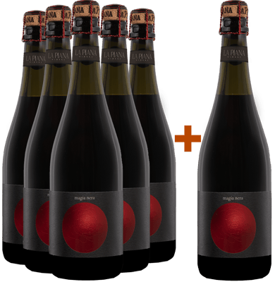 5+1 Magia Nera Lambrusco Grasparossa di Castelvetro DOC BIO