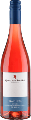 2024 Ma.Gi.Co Corvina Veronese Garda DOC
