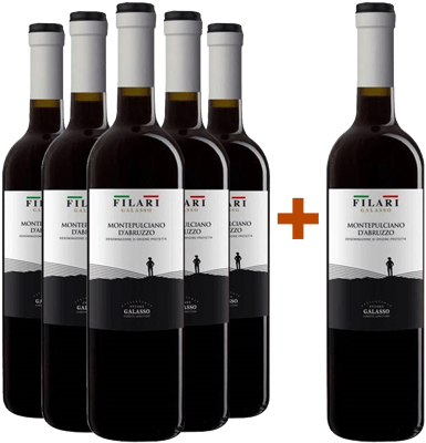 5+1 Filari Montepulciano d’Abruzzo DOC