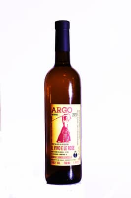 2021 Argo