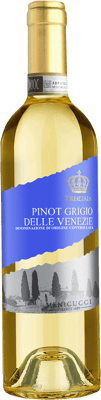 2024 Pinot Grigio Delle Venezie DOC