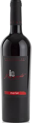 2019 Merlot Breganze DOC 2019 Merlot Breganze DOC